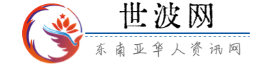 世波网